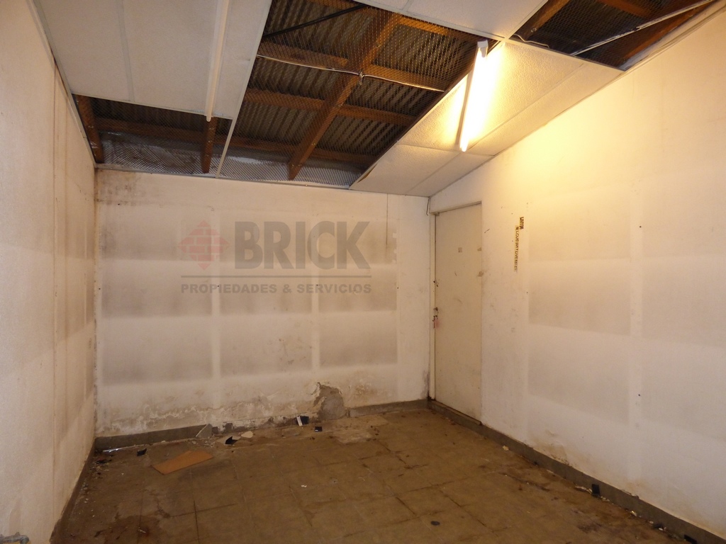 GURRUCHAGA al 1600 24