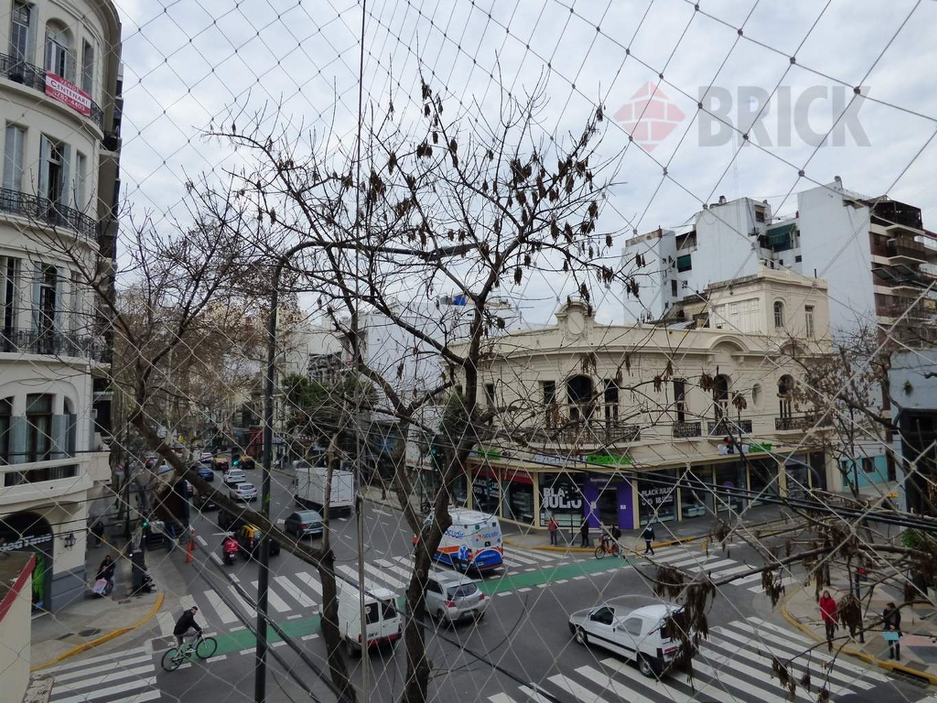 BELGRANO, AVDA. al 2100 11