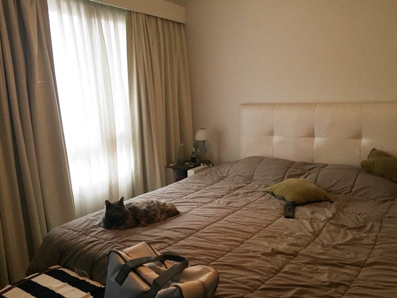 SIMON DE IRIONDO al 800 9