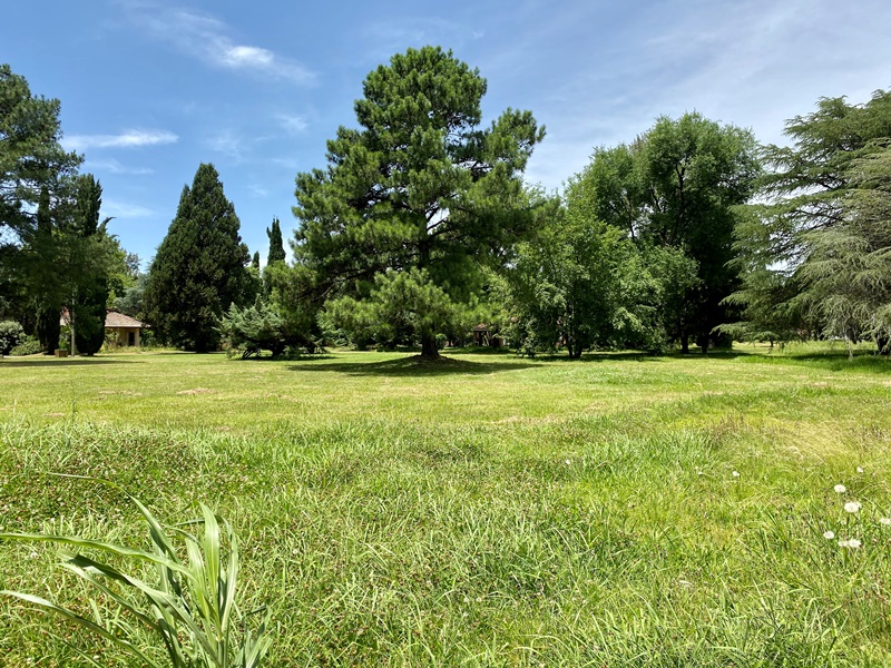 EL JAGÜEL COUNTRY CLUB Lote 137 18