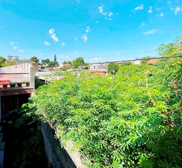 LAUREANA FERRARI al 70 14