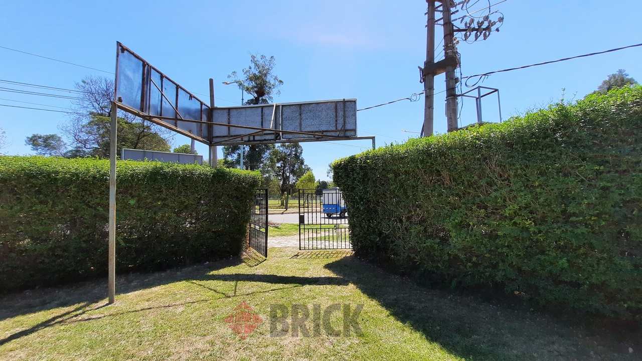 ARAUJO, MANUEL al 0 10