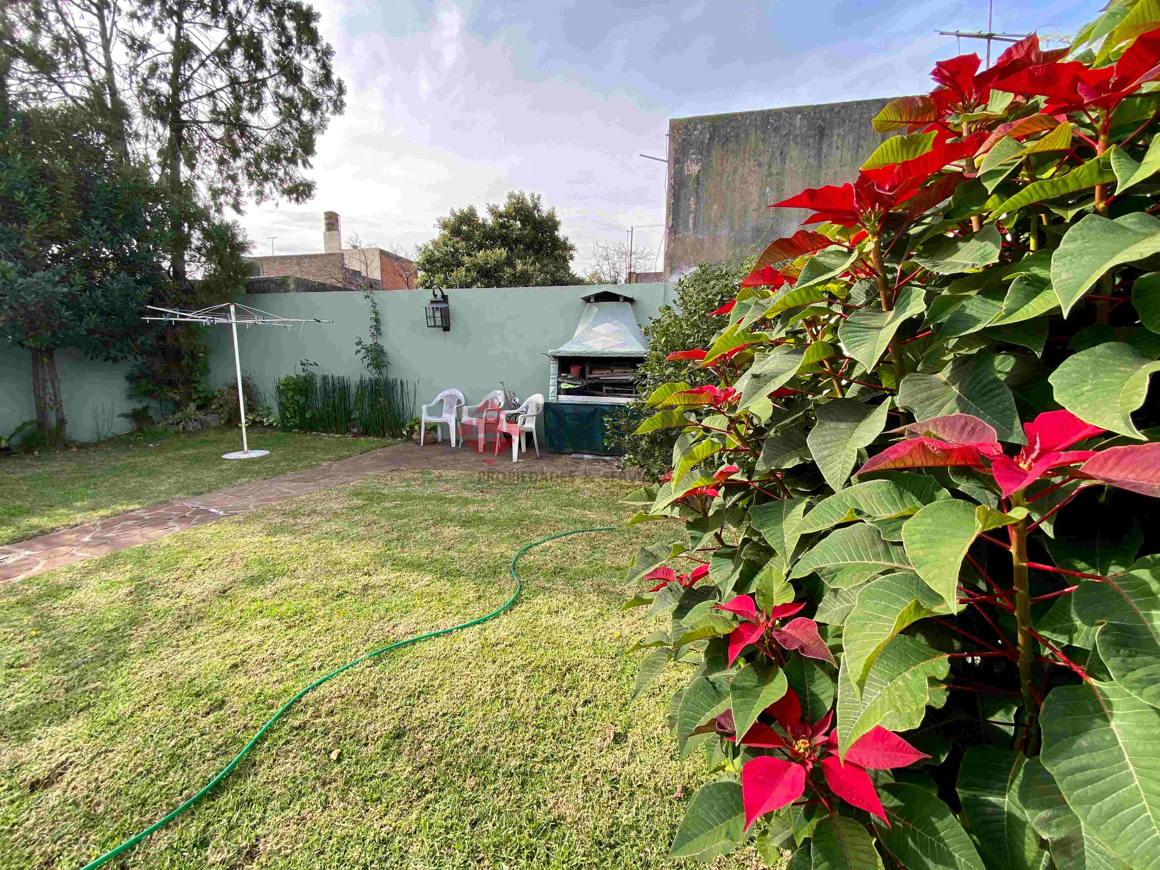 MERCEDES ALVAREZ al 2000 7