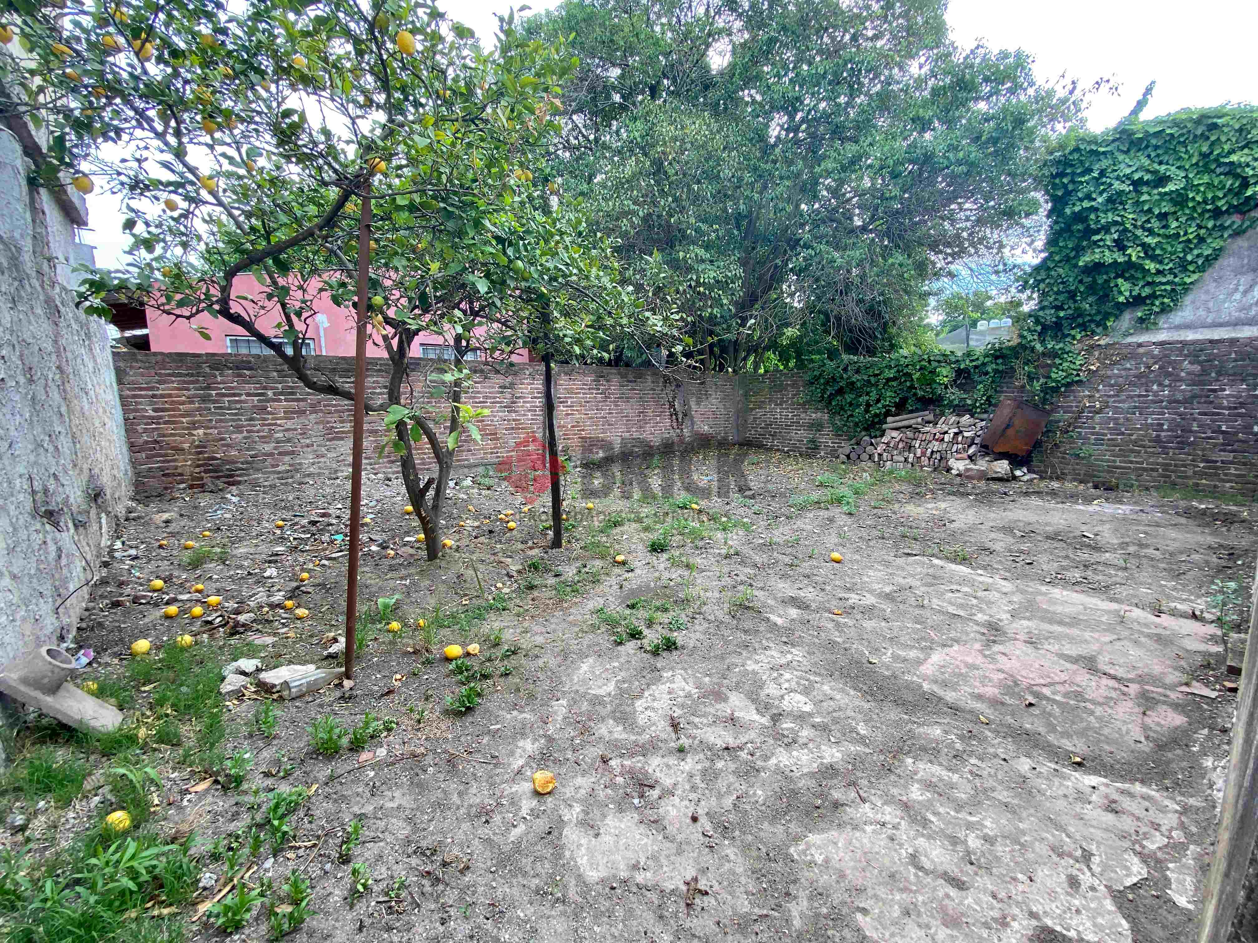 GRANADEROS A CABALLO al 2900 8