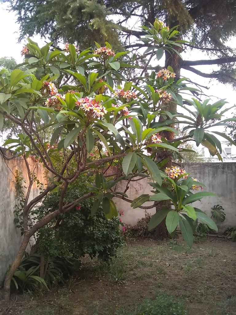 DIRECTORIO, AV. al 2700 Piso 1 16