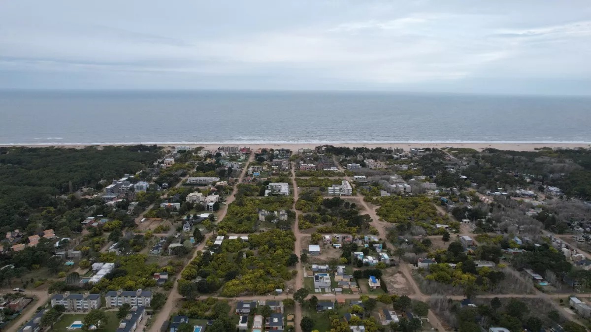 LAS GAVIOTAS (CALLE 30) 21