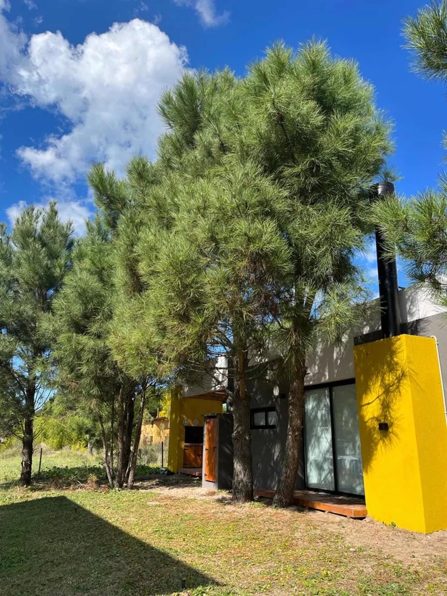 LAS GAVIOTAS (CALLE 30) 4