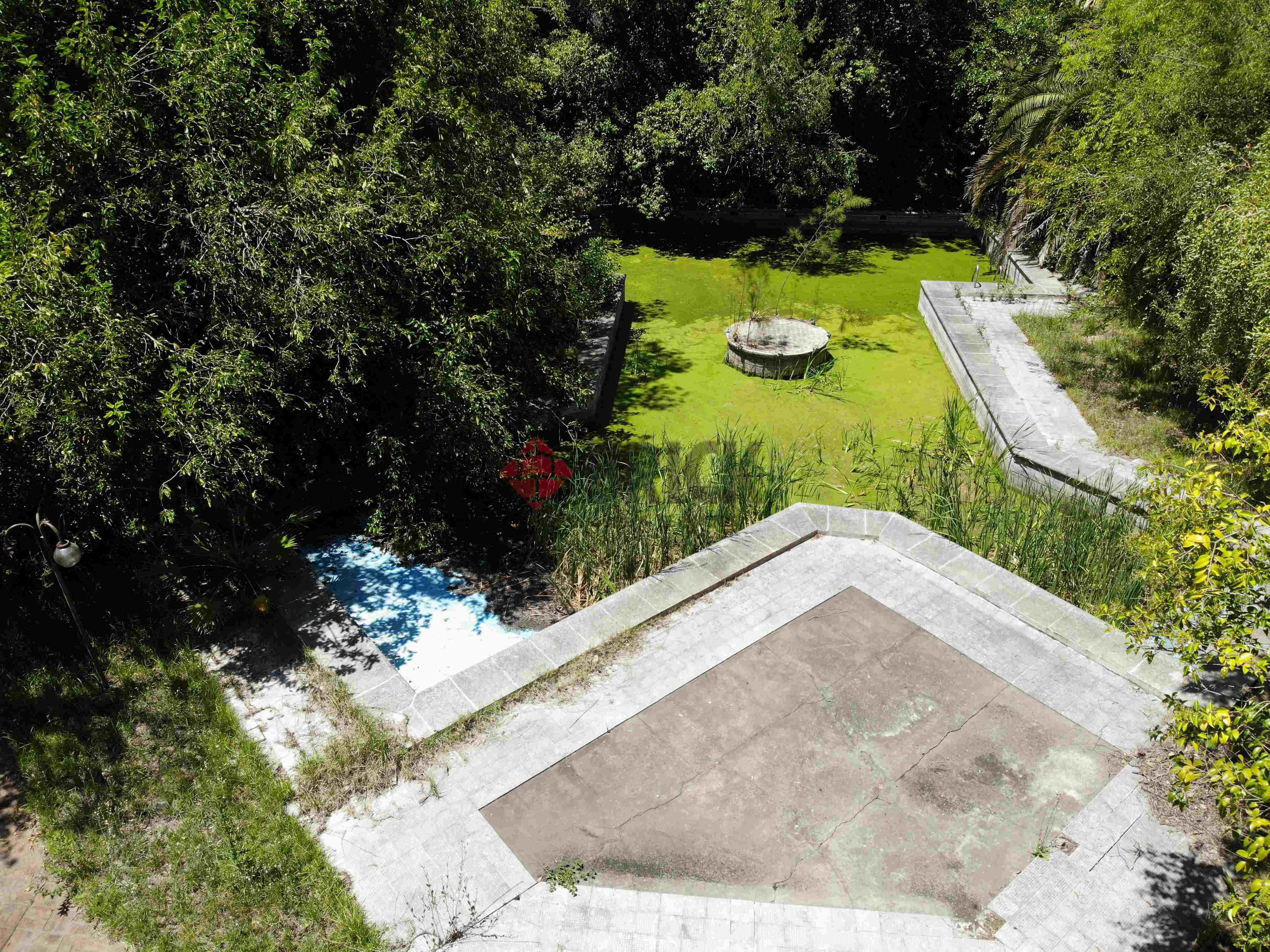 FRAY LUIS BELTRAN al 800 4