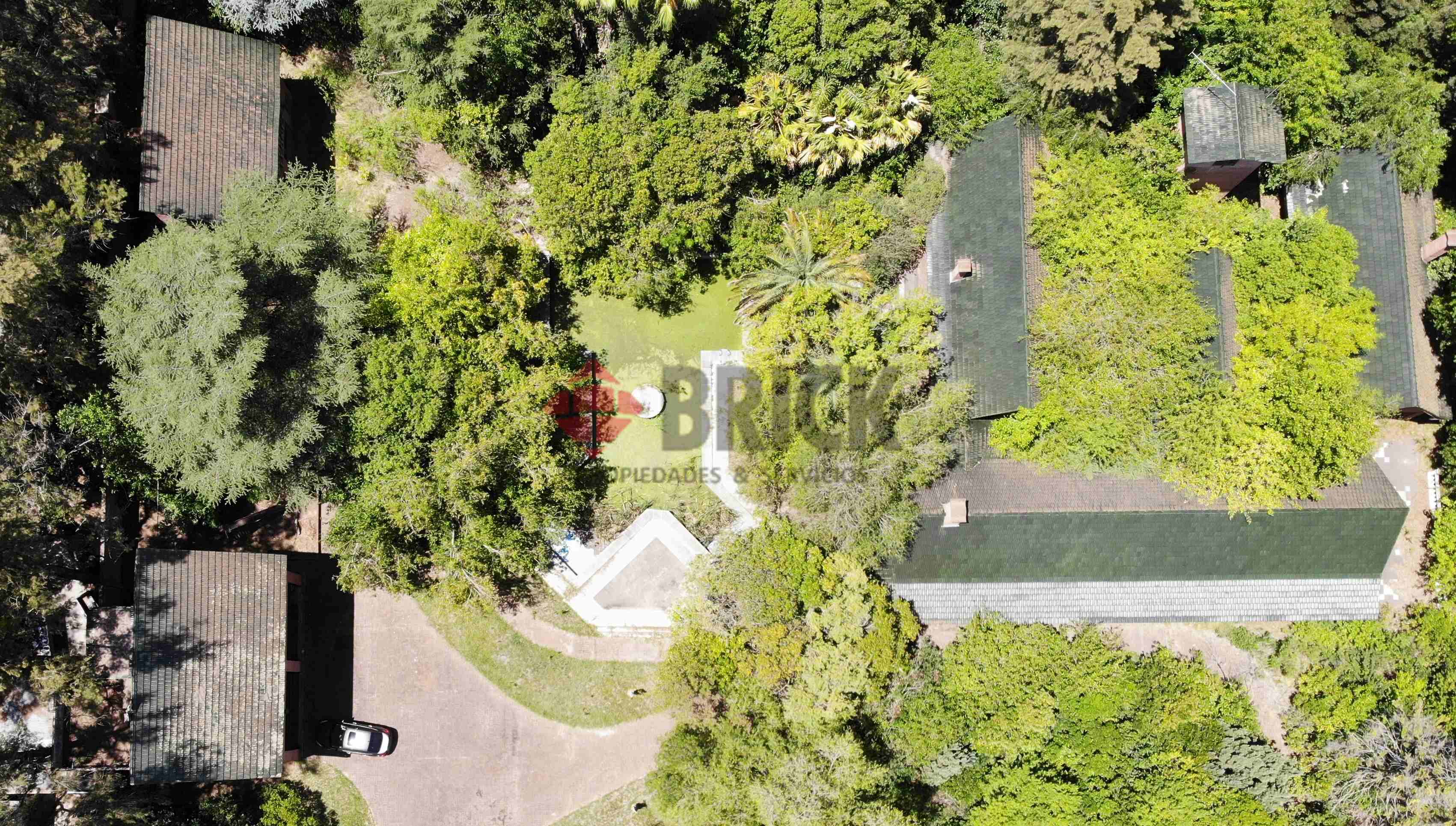 FRAY LUIS BELTRAN al 800 6