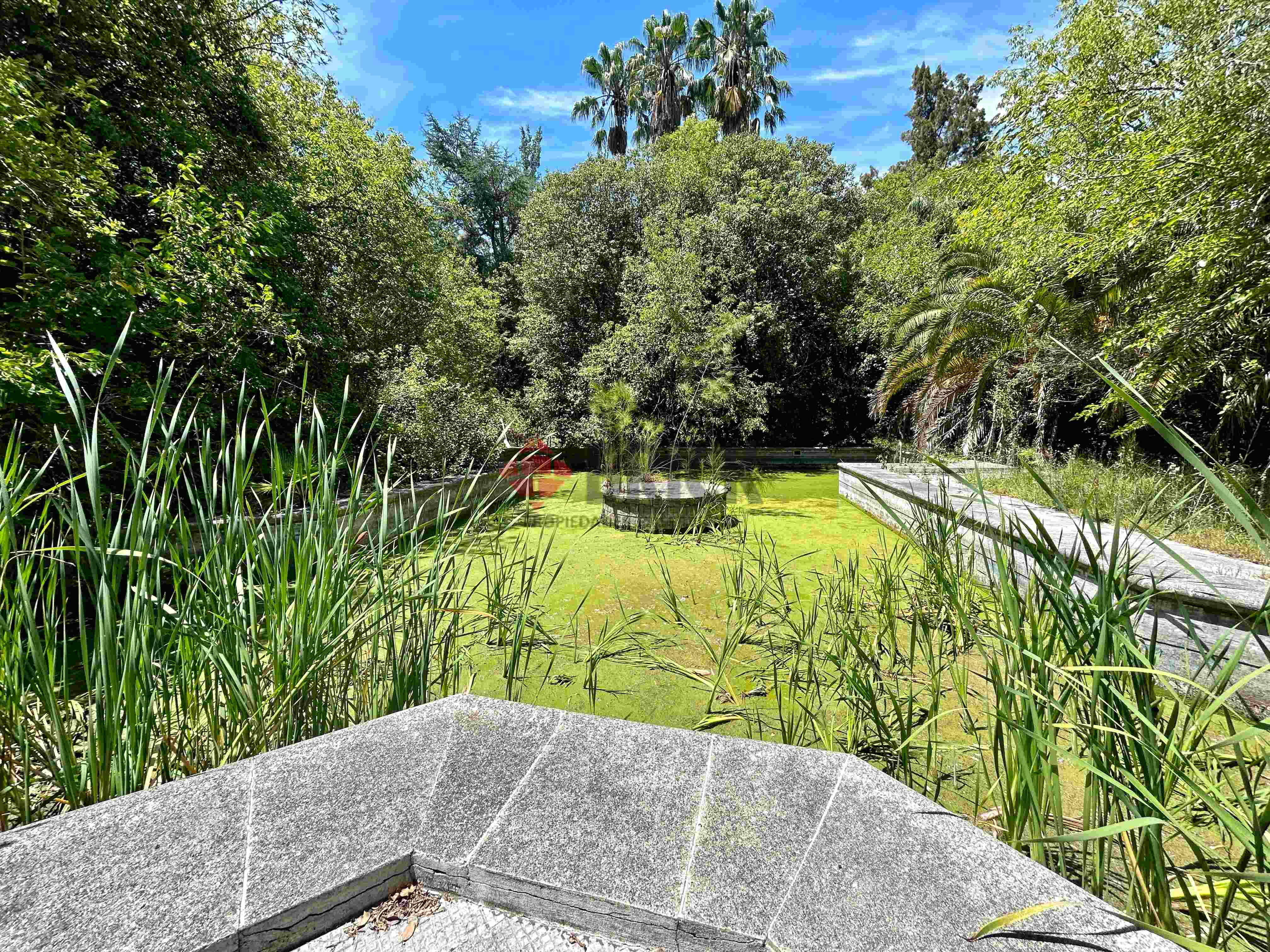 FRAY LUIS BELTRAN al 800 9