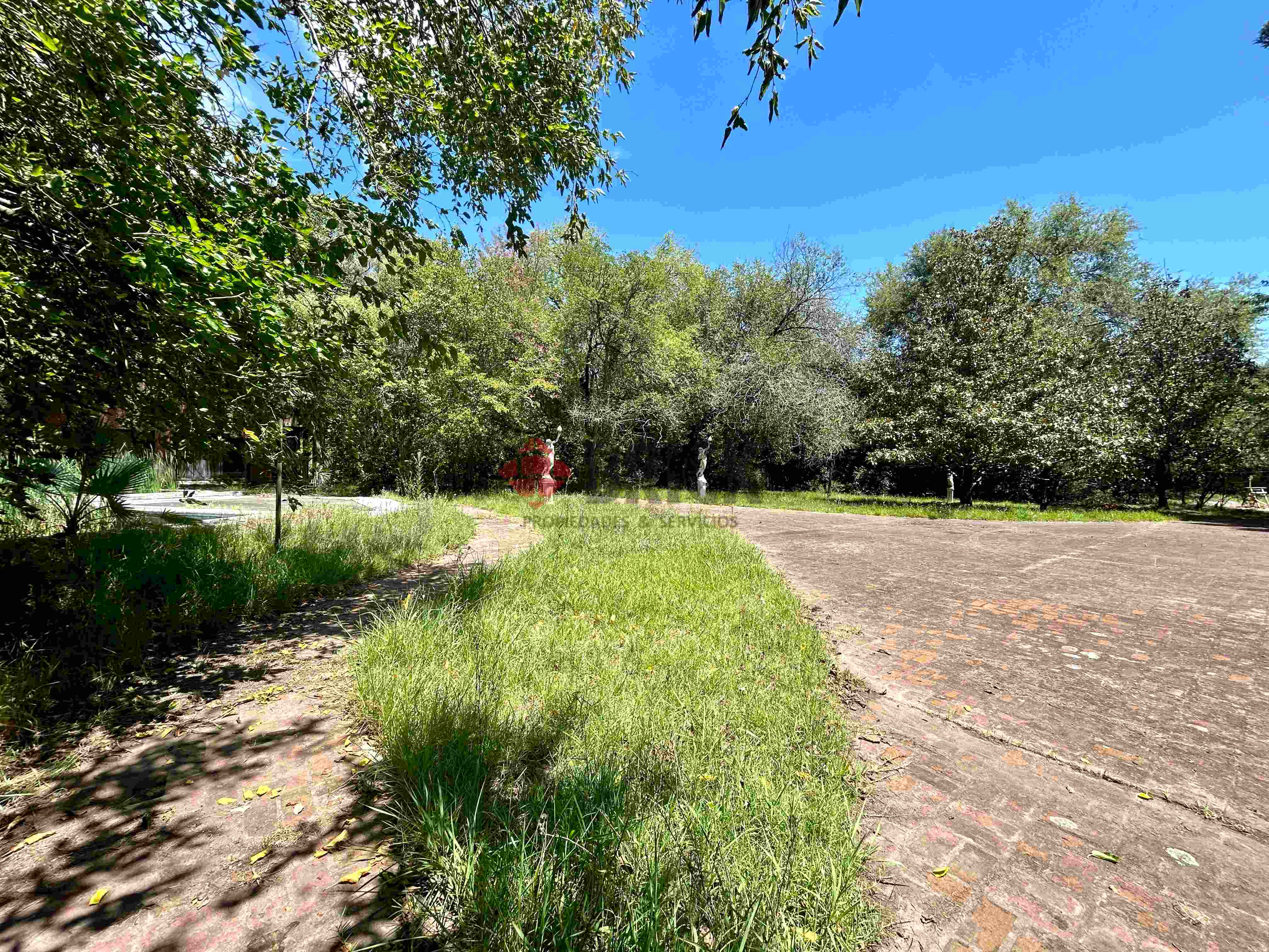 FRAY LUIS BELTRAN al 800 12