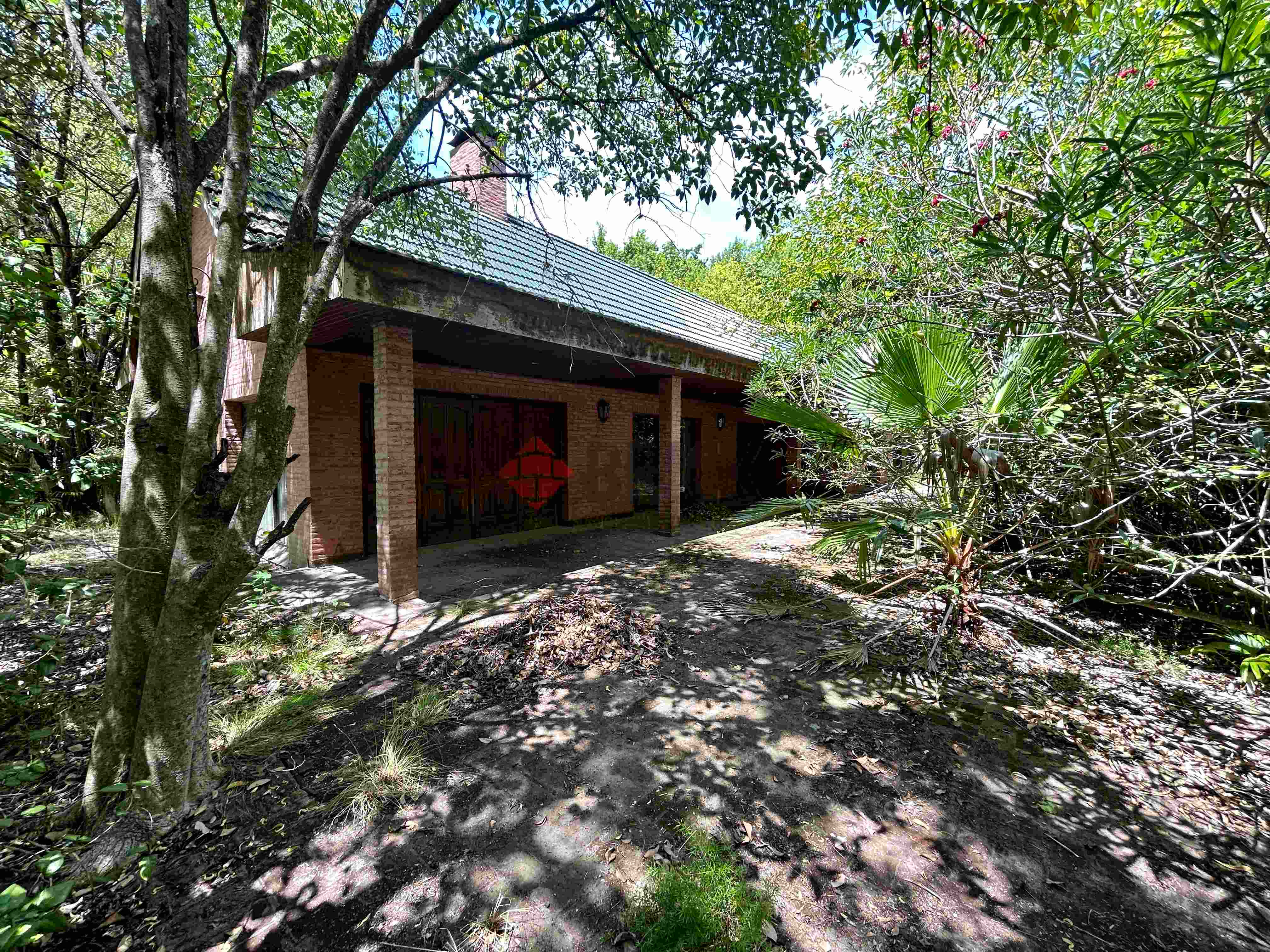 FRAY LUIS BELTRAN al 800 14