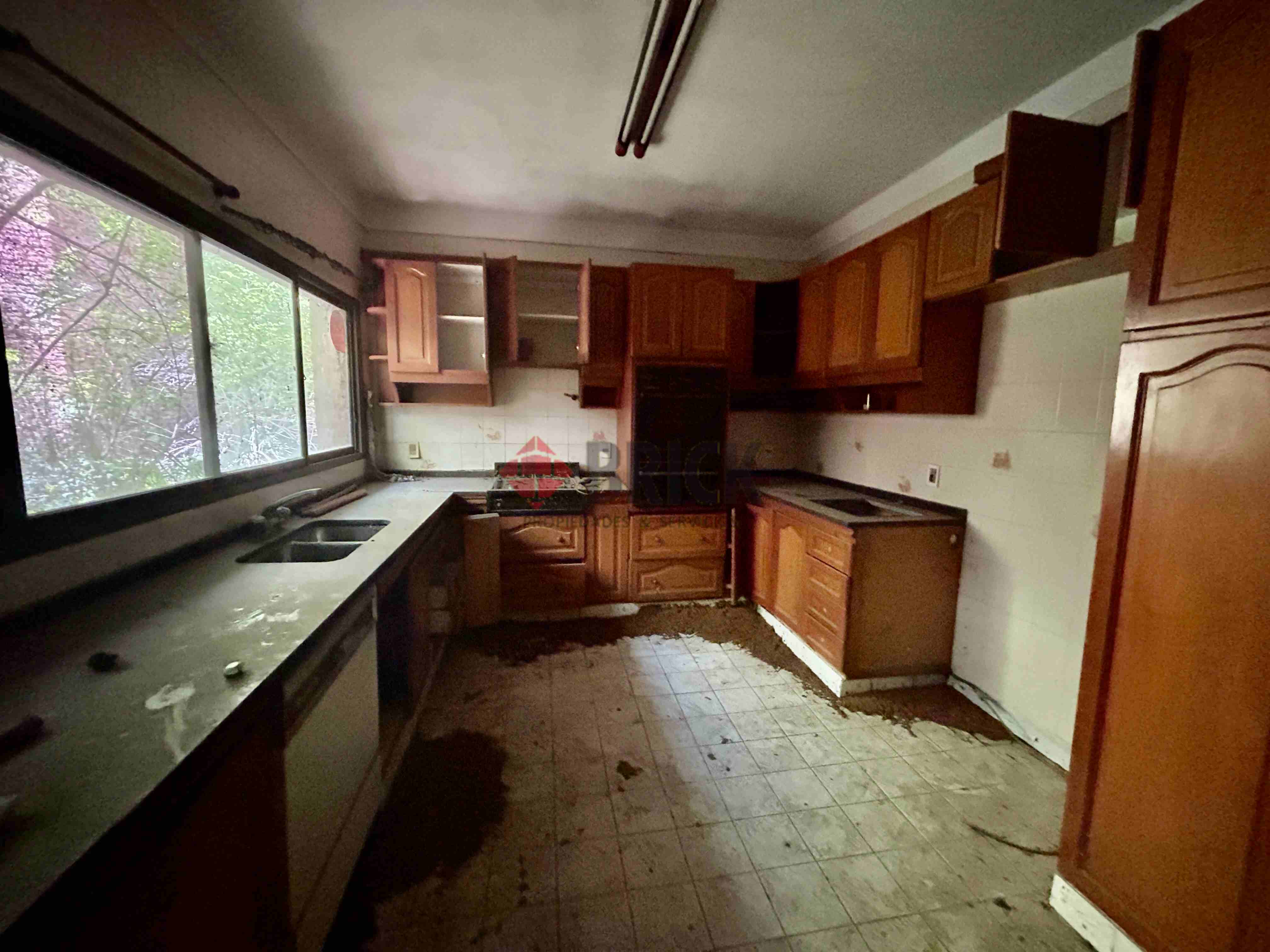 FRAY LUIS BELTRAN al 800 18