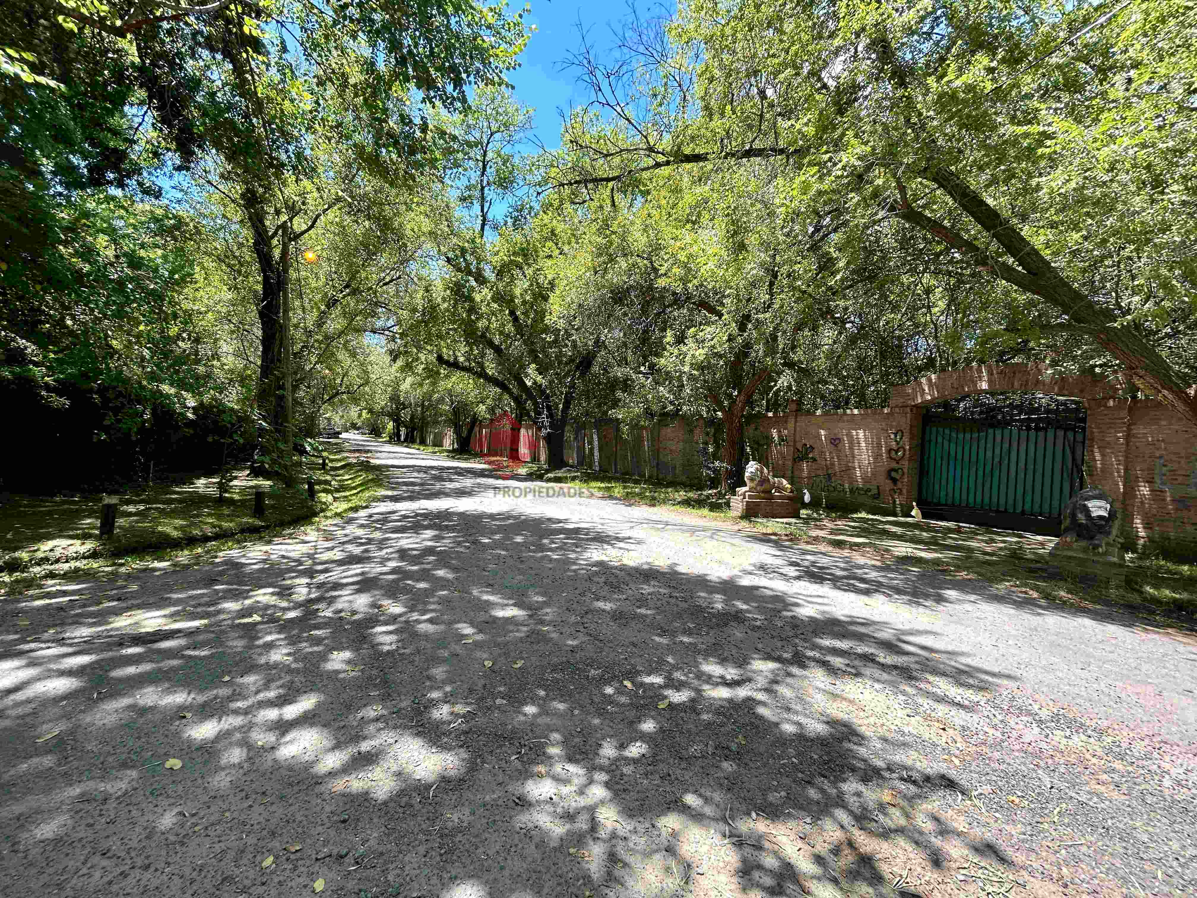 FRAY LUIS BELTRAN al 800 25