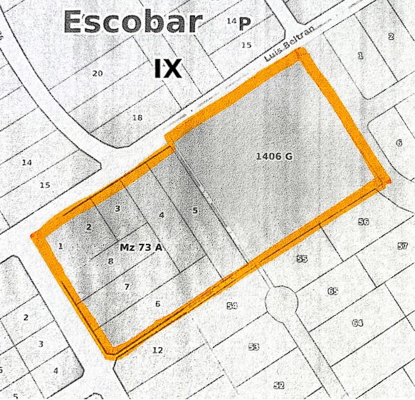 FRAY LUIS BELTRAN al 800 28