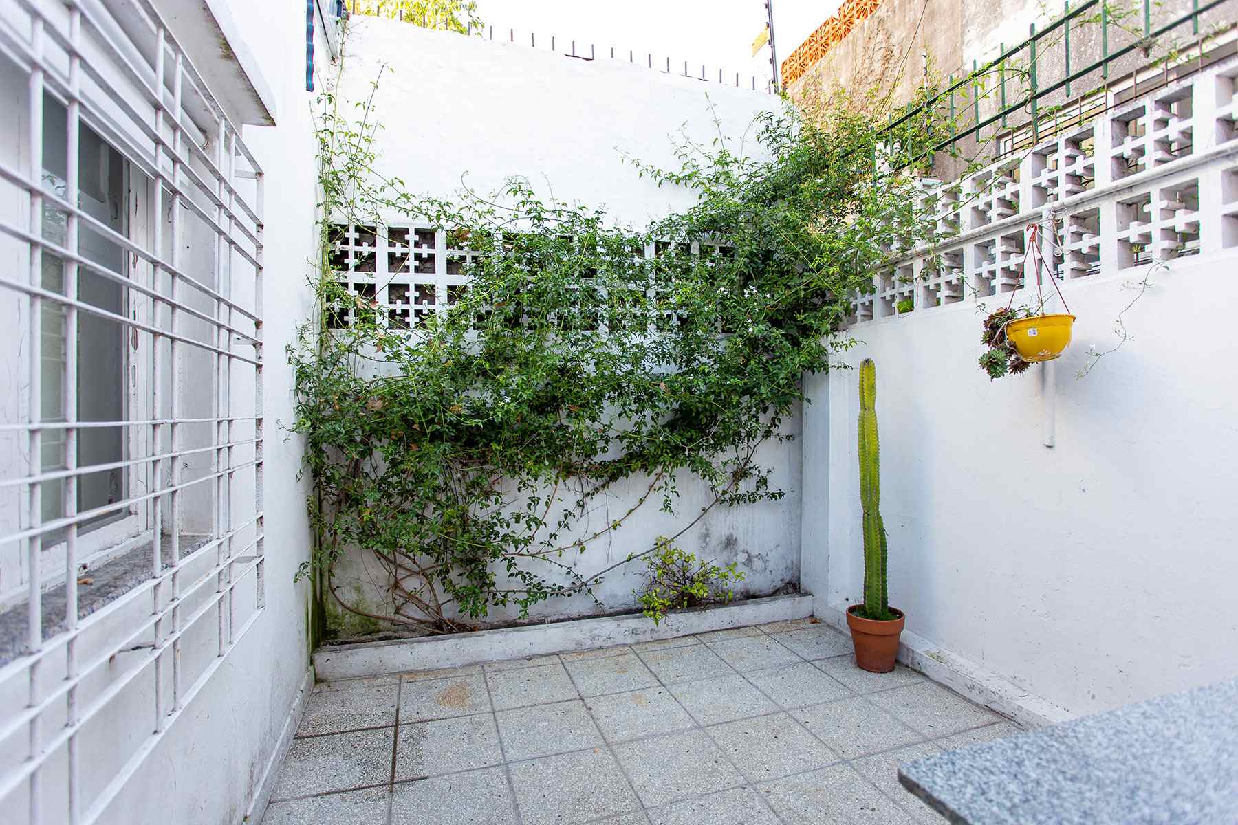 FELIX DE AZARA al 900 48