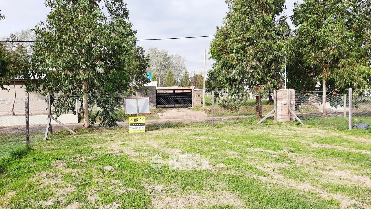 CHULUPIES (EX DIAGUITAS) Lote 6 1