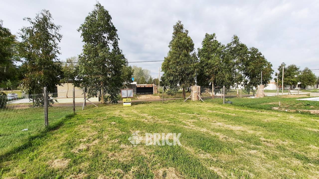 CHULUPIES (EX DIAGUITAS) Lote 6 2