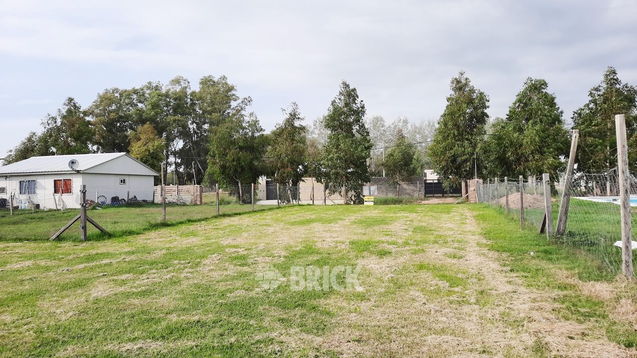 CHULUPIES (EX DIAGUITAS) Lote 6 4