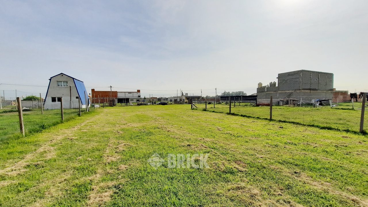 CHULUPIES (EX DIAGUITAS) Lote 6 6