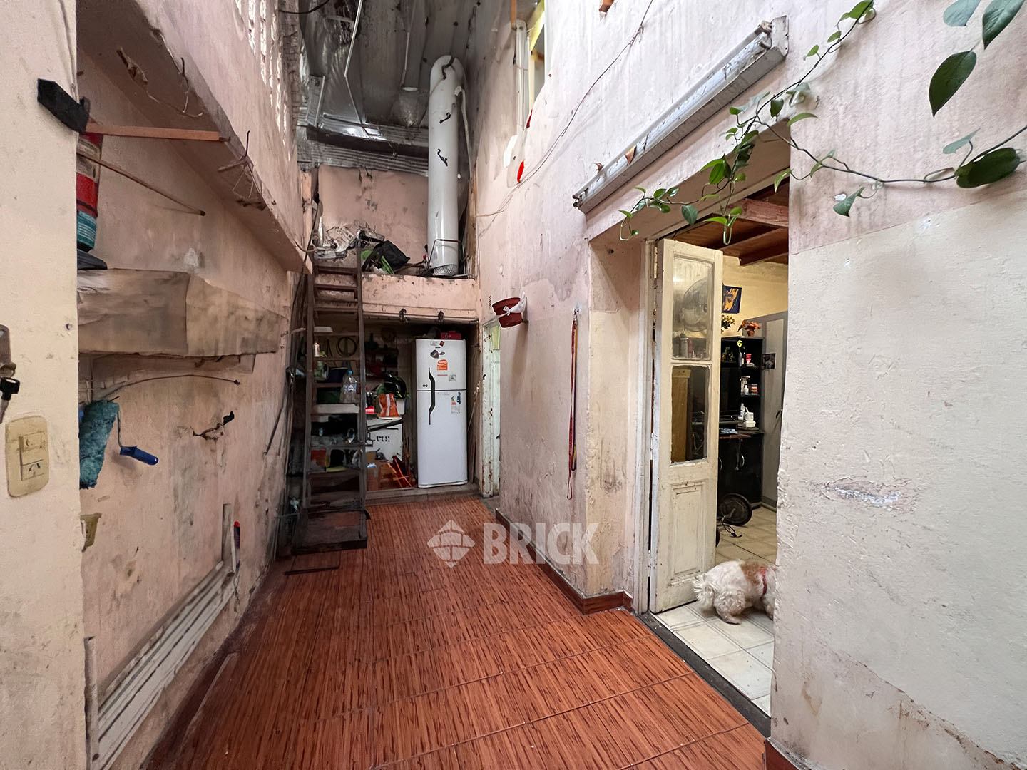 MEXICO al 2000 Piso PB 4