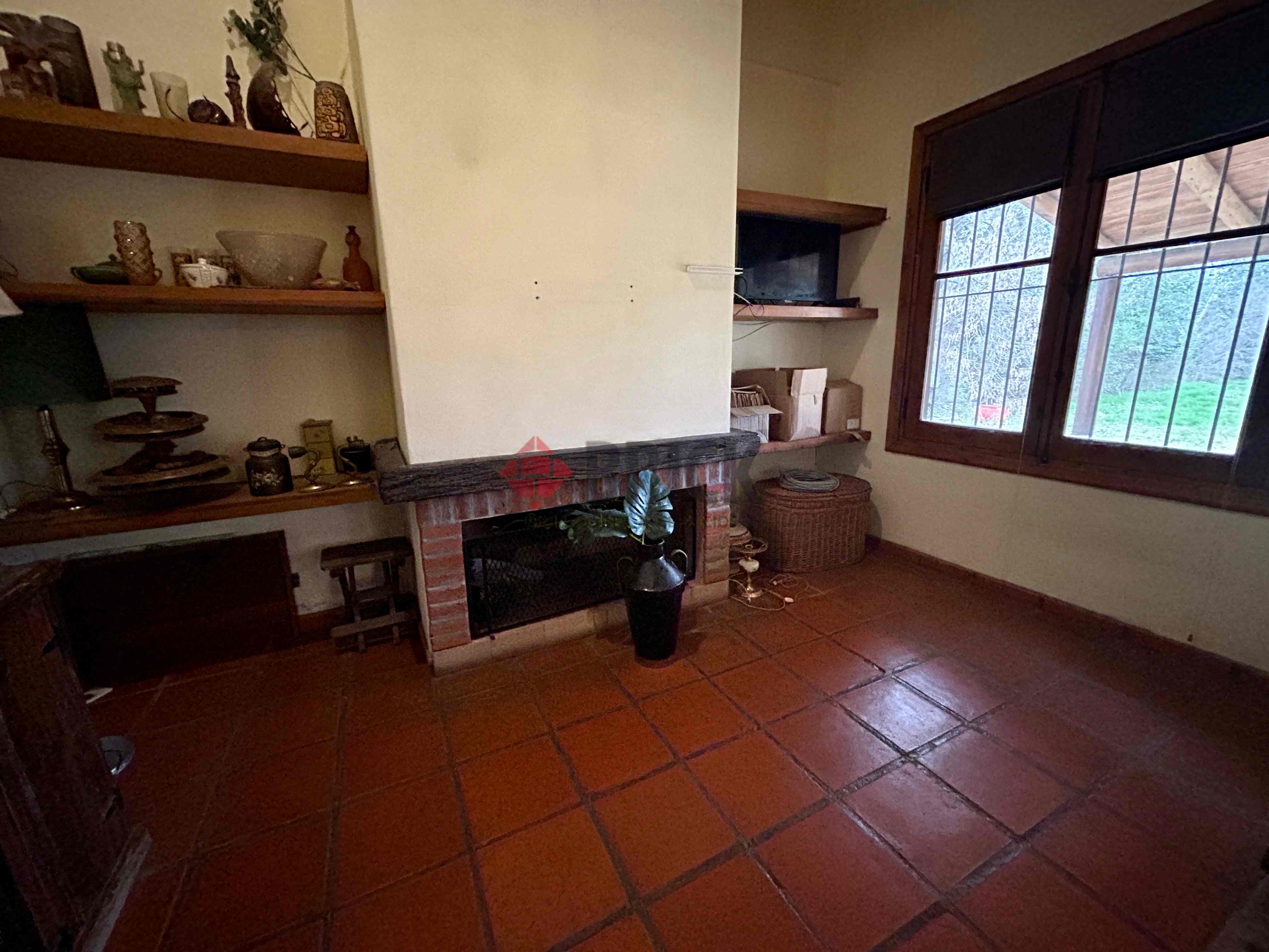 PIZARRO al 100 3