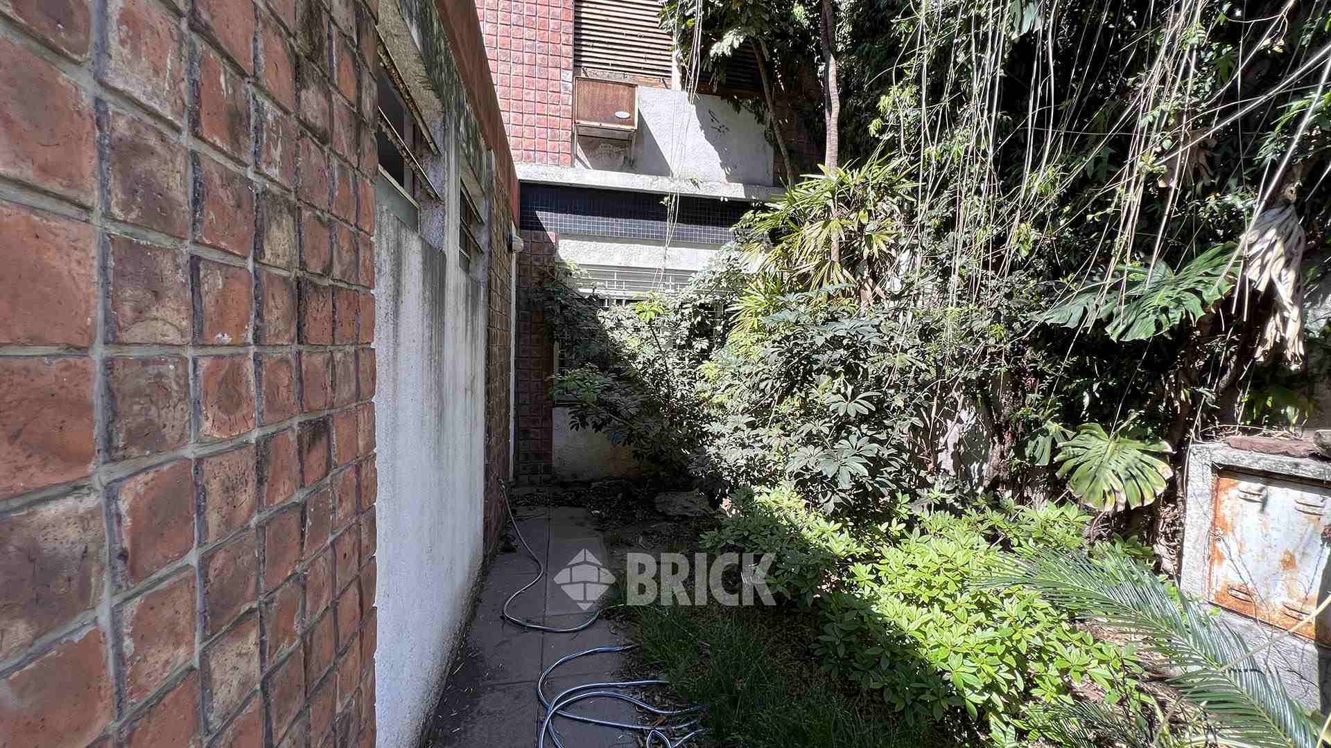 VALLESE, FELIPE al 2600 24