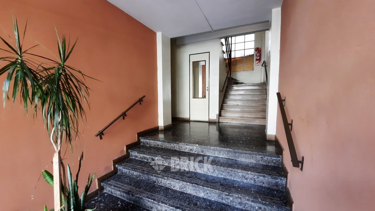 ZAPIOLA al 1000 Piso 2 16