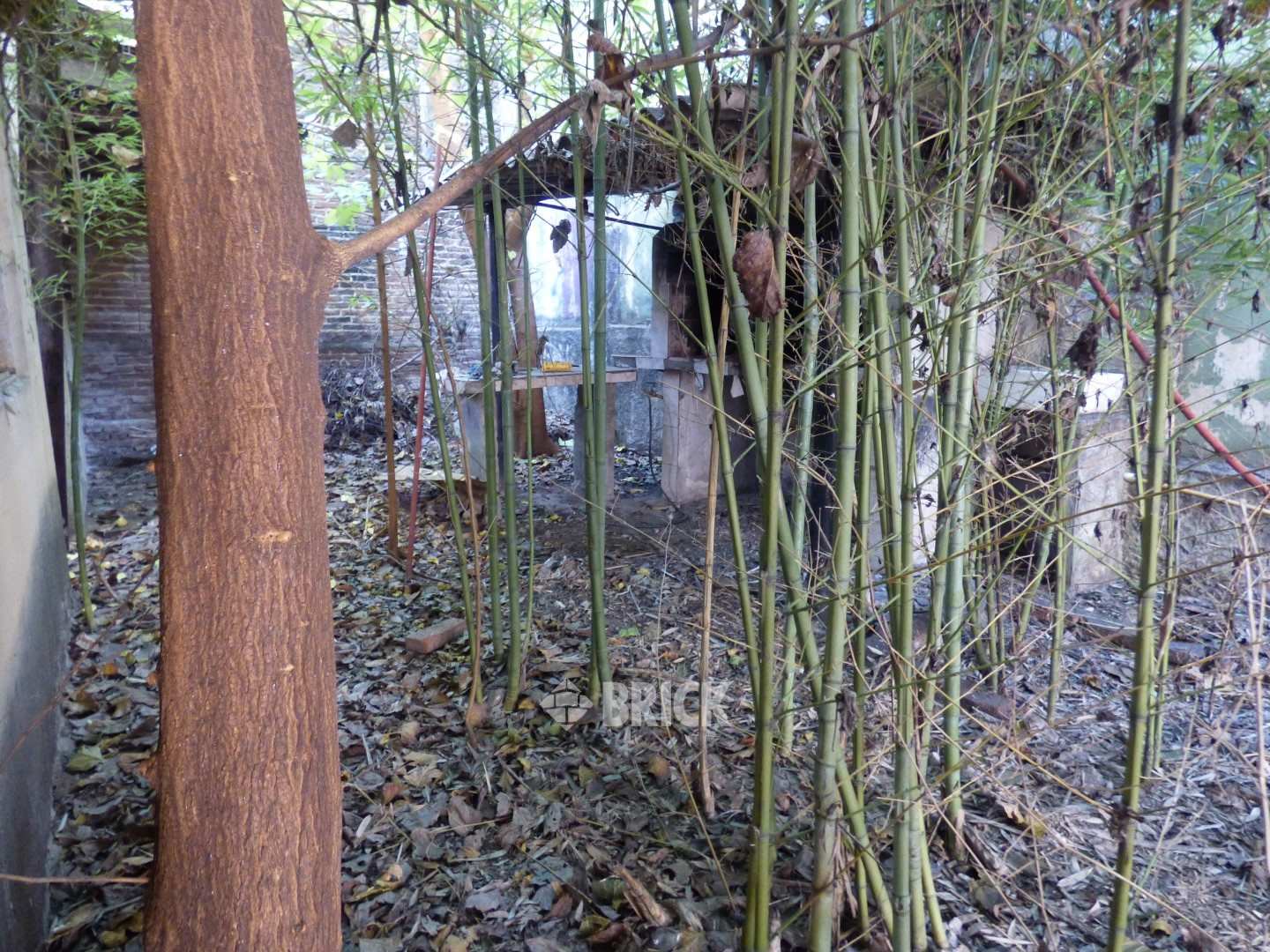 BARROS PAZOS, JOSE al 5900 40