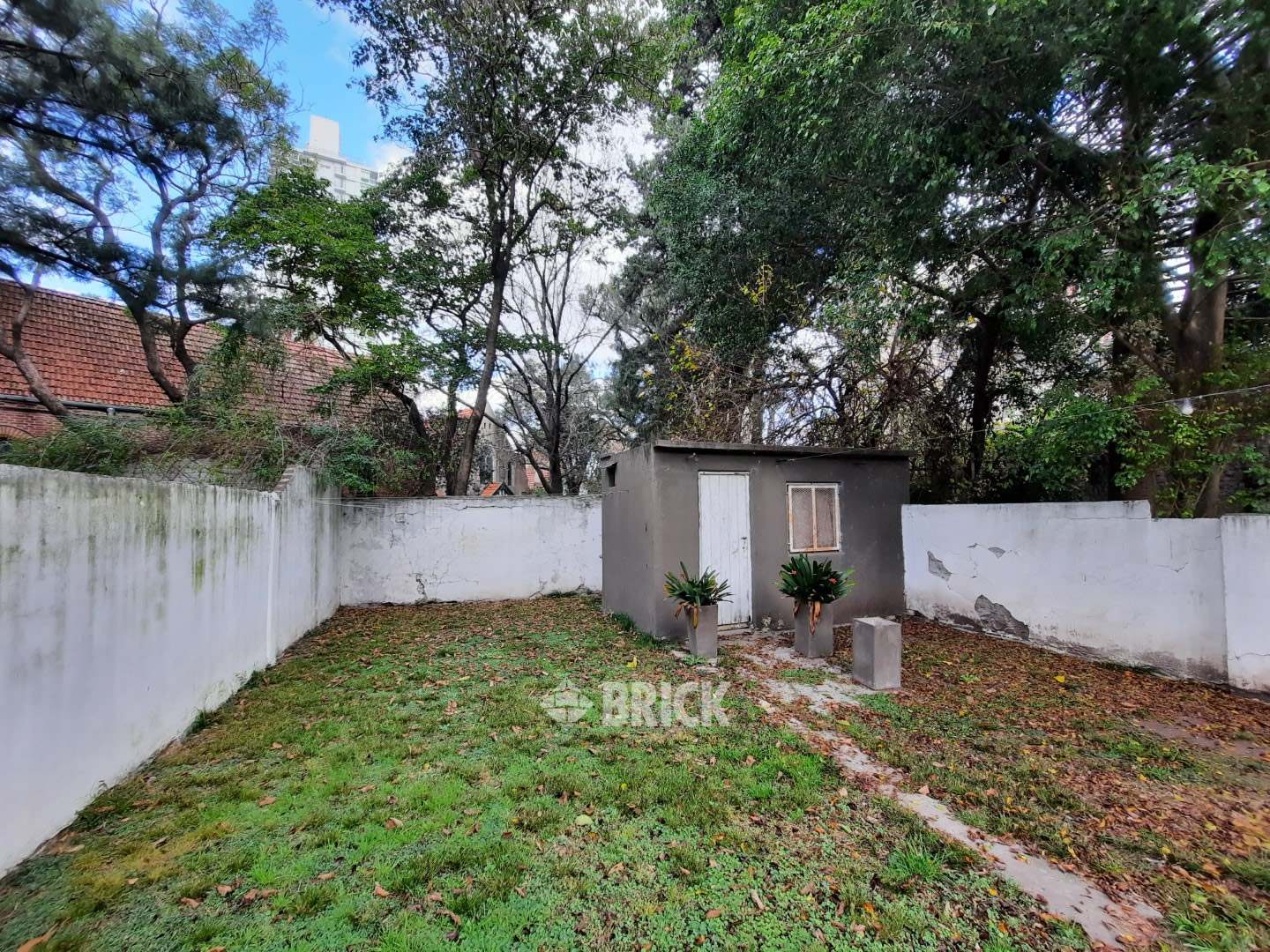 ESPEJO, GENERAL al 0 9