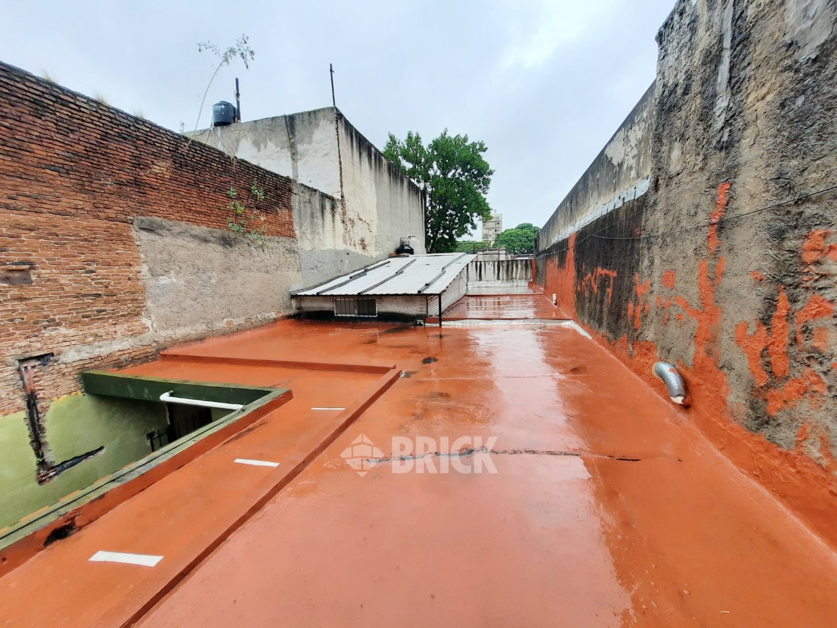 15 DE NOVIEMBRE DE 1889 al 1300 36