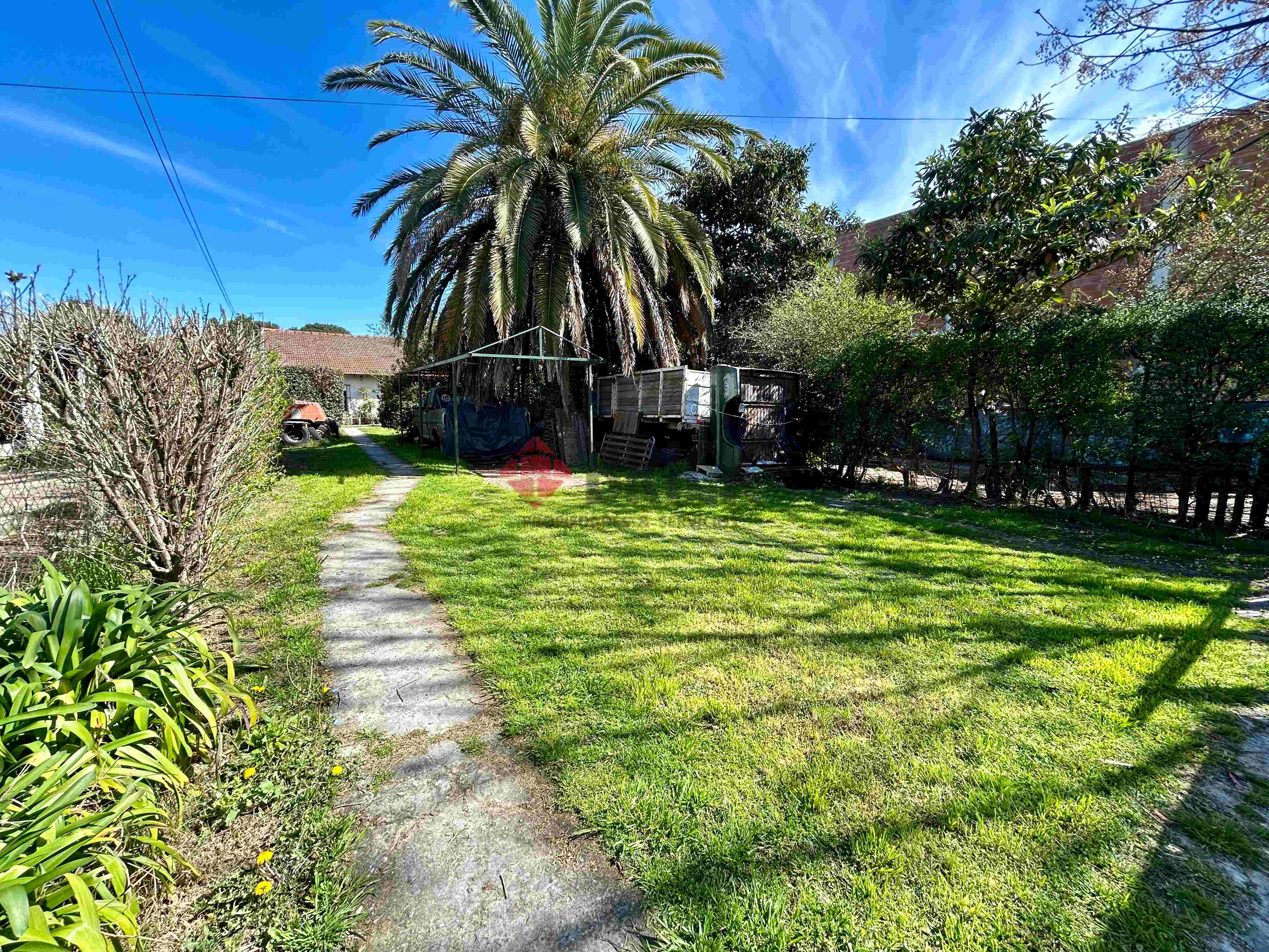 LAS TUNAS al 4800 14