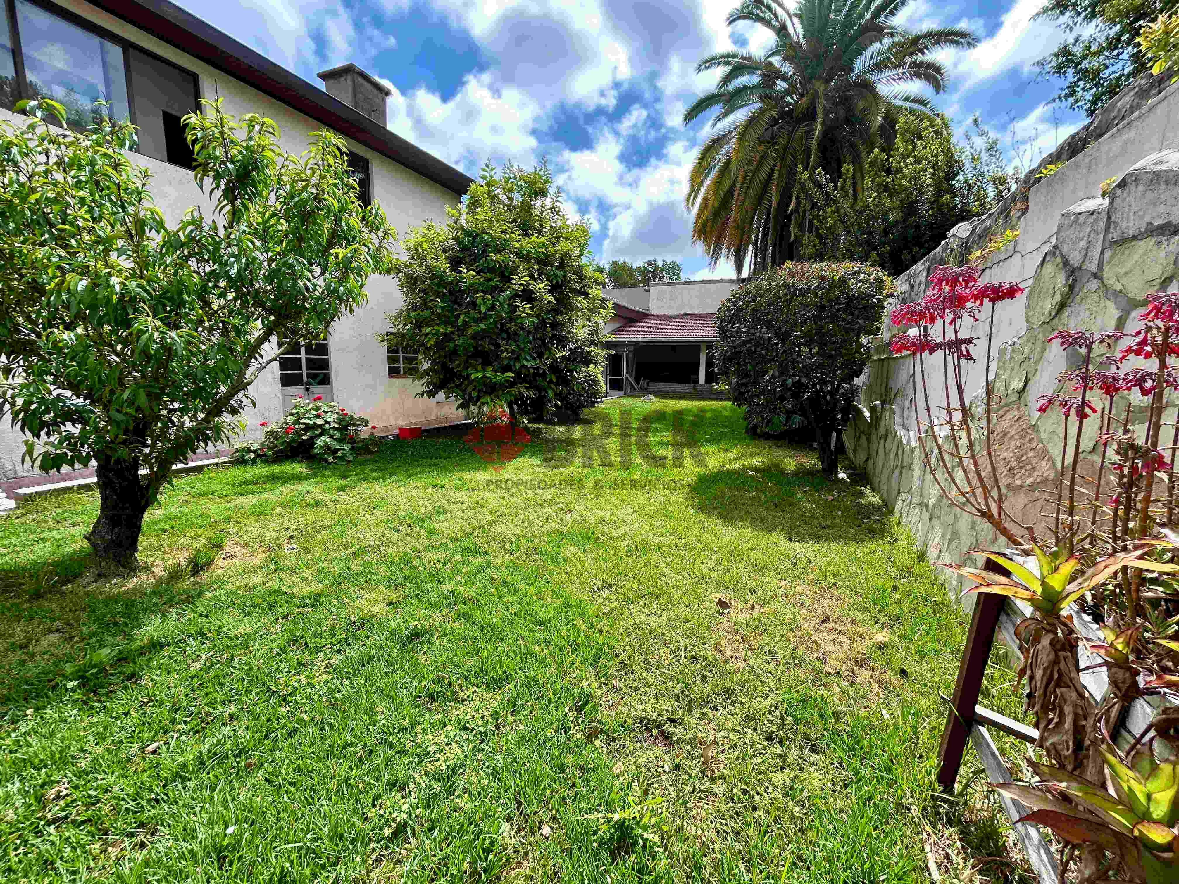 BUENOS AIRES al 5400 26