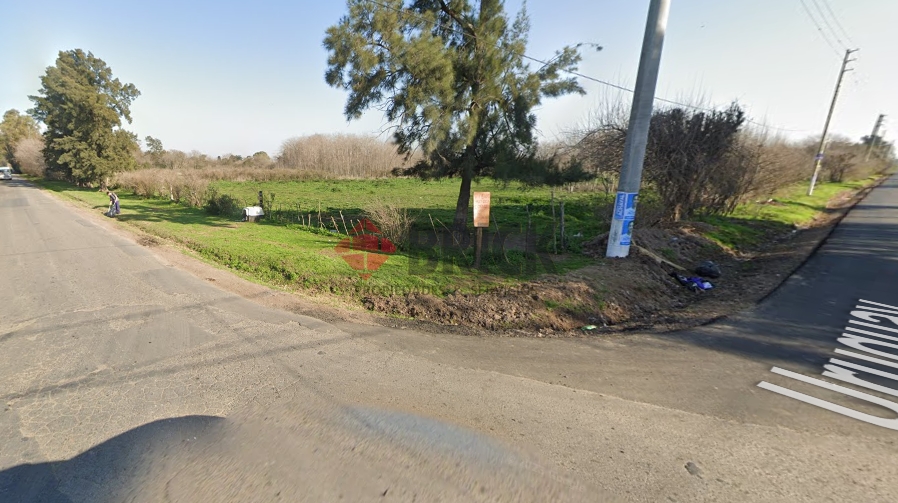 LAGUNA DEL MONTE al 100 3