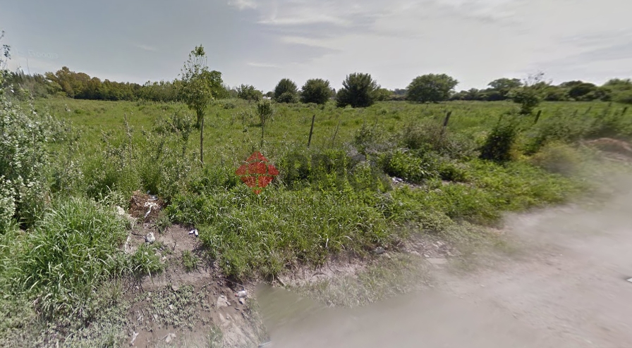 LAGUNA DEL MONTE al 100 5