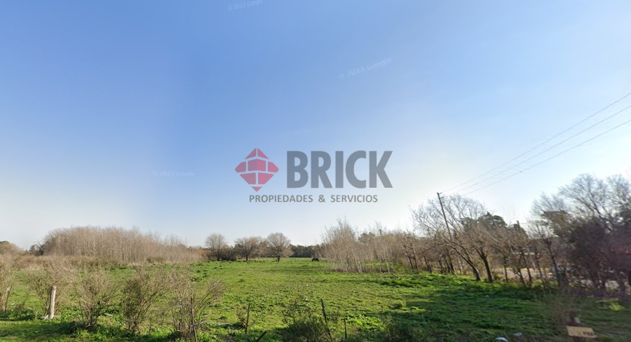 LAGUNA DEL MONTE al 100 8