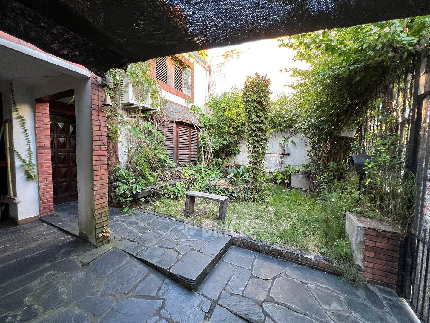 ESPINILLO al 1400 38