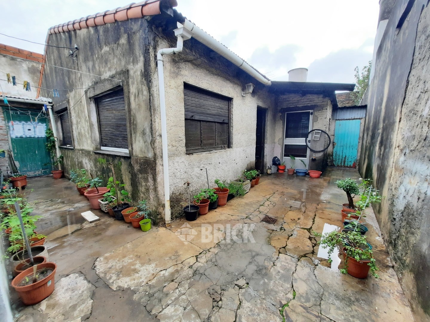 PLAUL, SANTIAGO al 3200 15