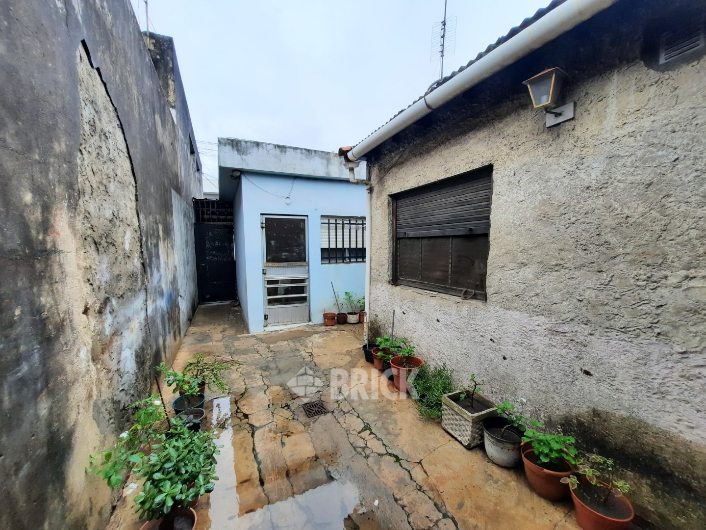 PLAUL, SANTIAGO al 3200 16