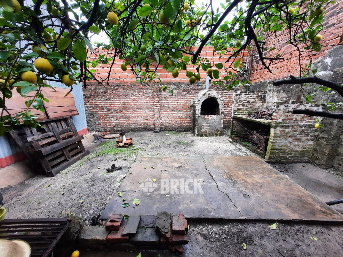 PLAUL, SANTIAGO al 3200 24