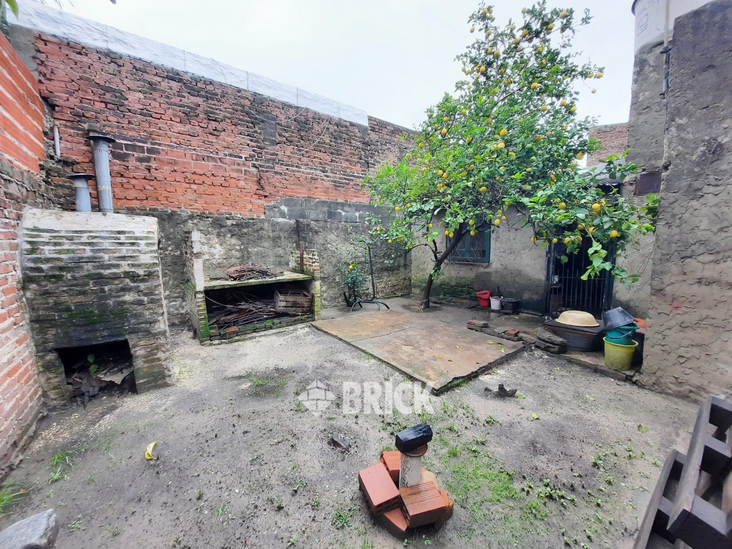 PLAUL, SANTIAGO al 3200 25