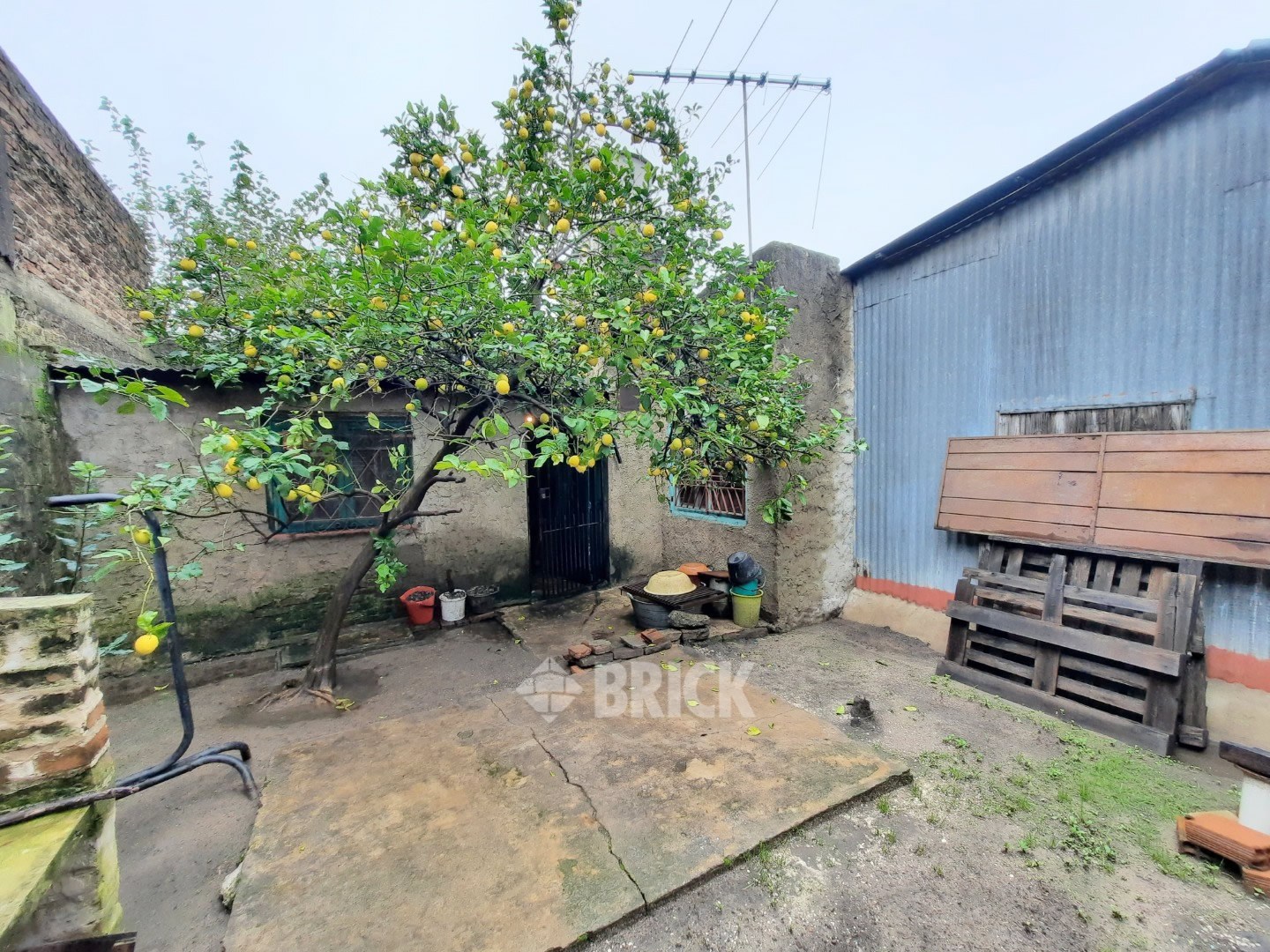 PLAUL, SANTIAGO al 3200 26