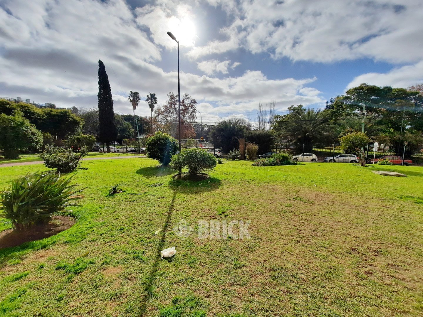 DUMONT, SANTOS al 3300 Piso 5 30