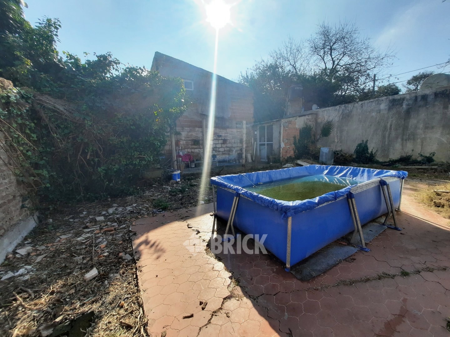 LOS STUDS al 1000 22