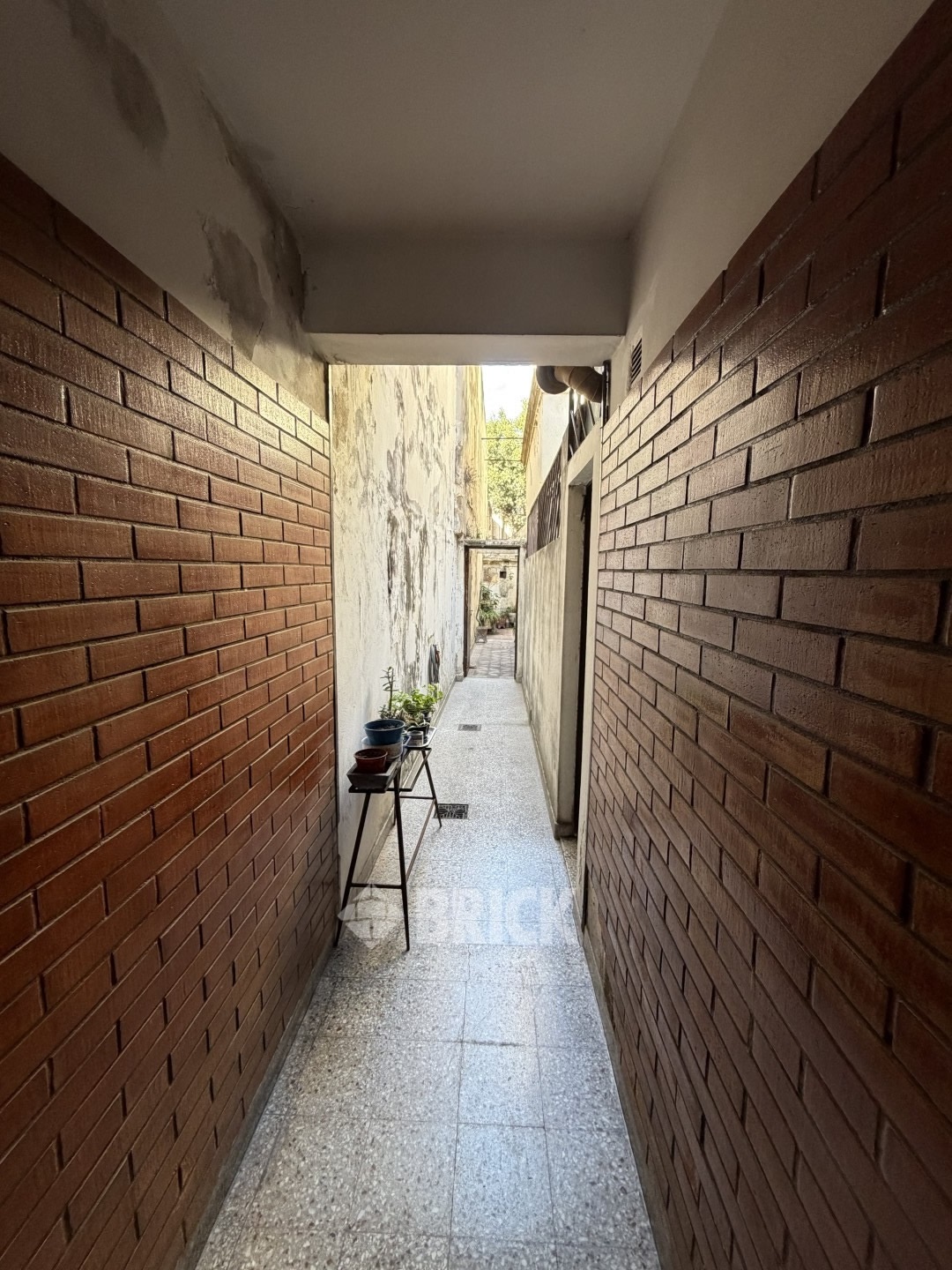 CONSTITUCION al 2100 21