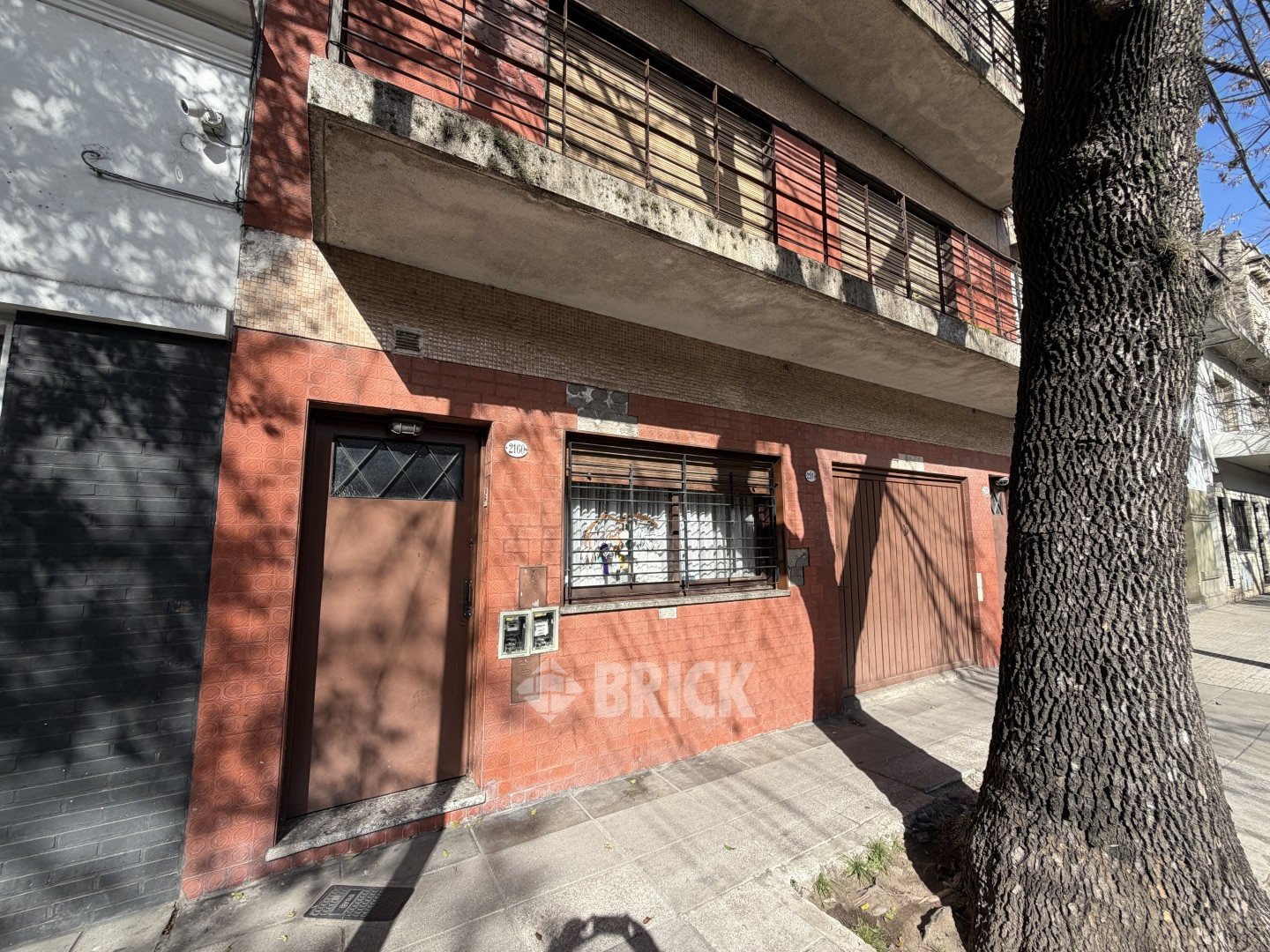 CONSTITUCION al 2100 46