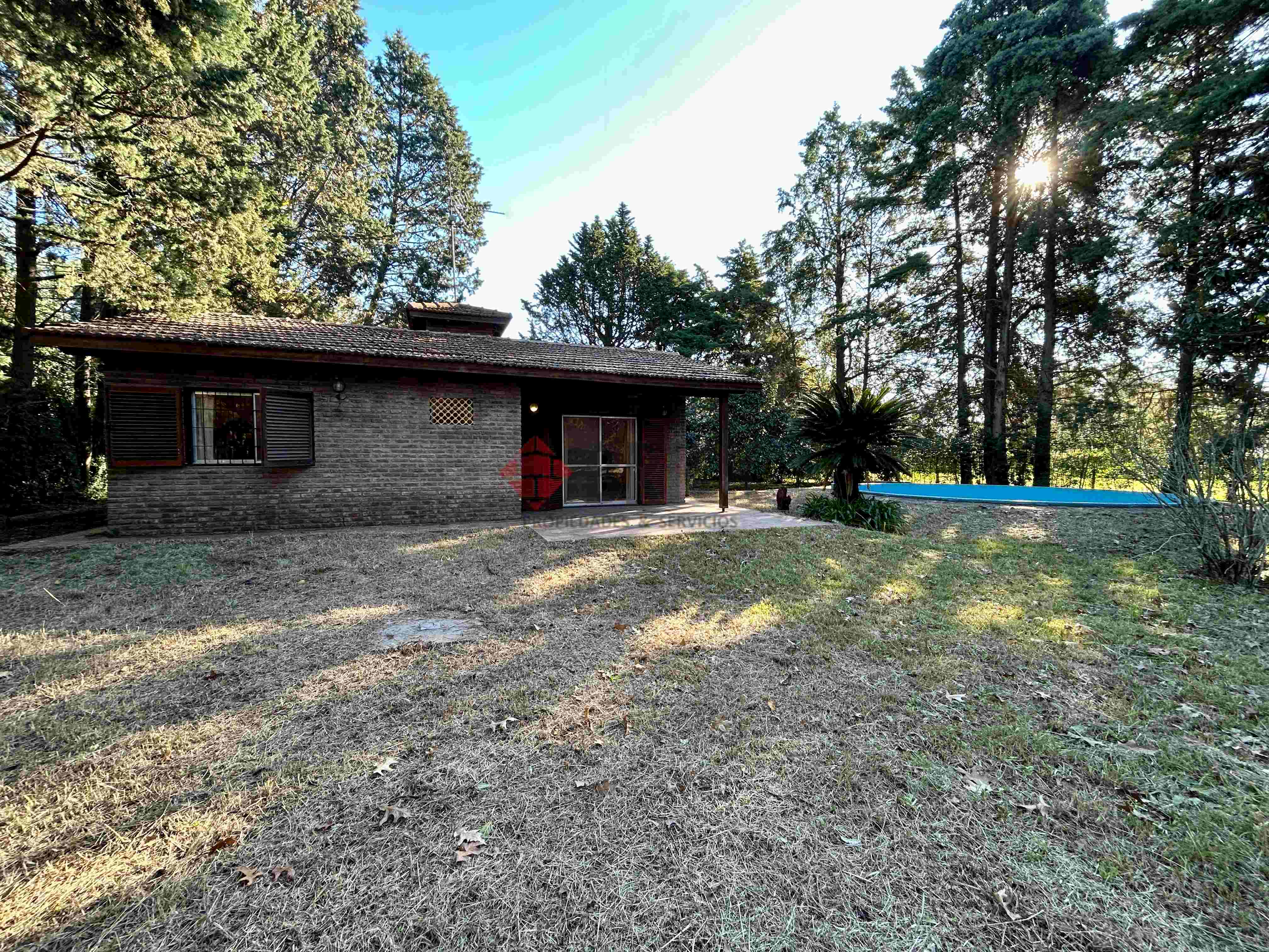 LA GOLONDRINA Y LA PATRIA 1