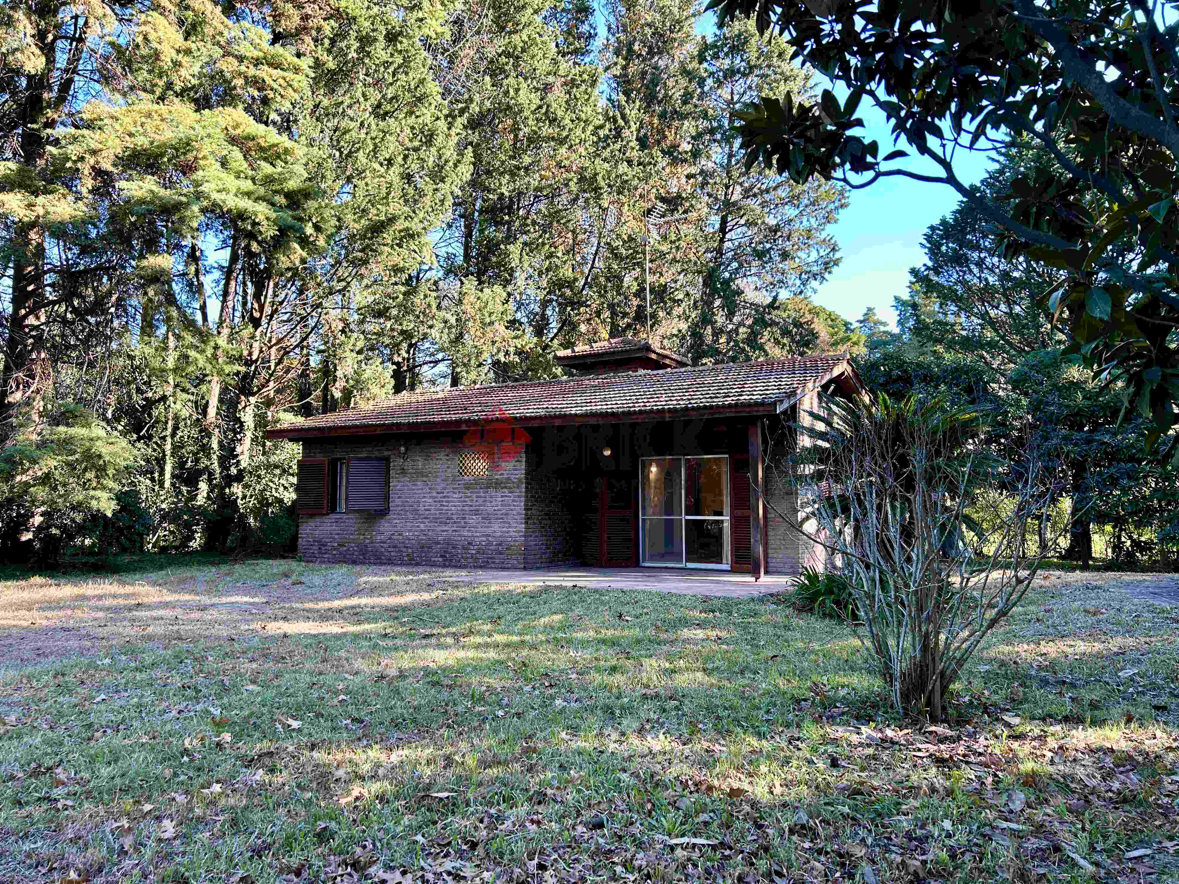 LA GOLONDRINA Y LA PATRIA 2