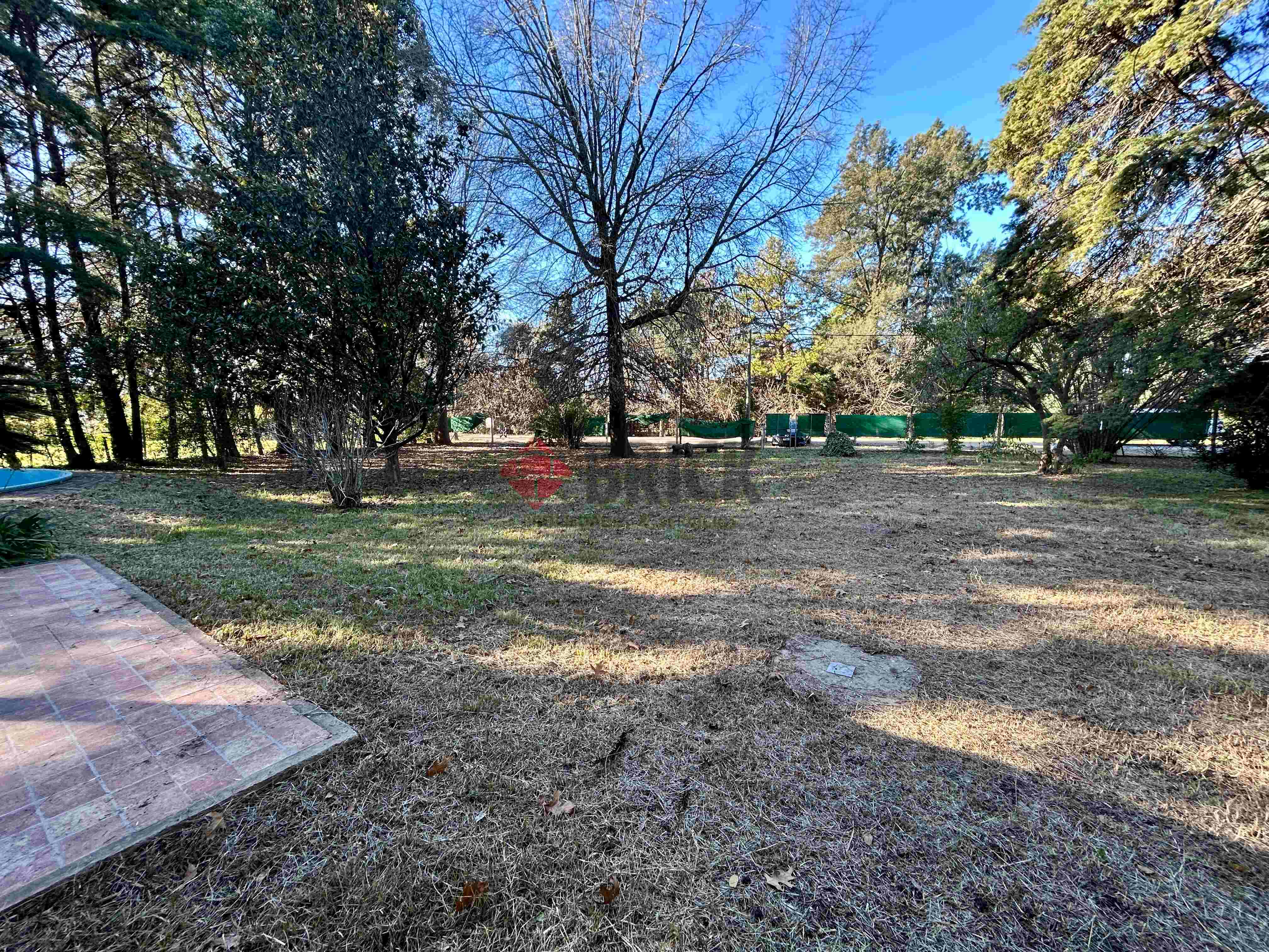 LA GOLONDRINA Y LA PATRIA 14