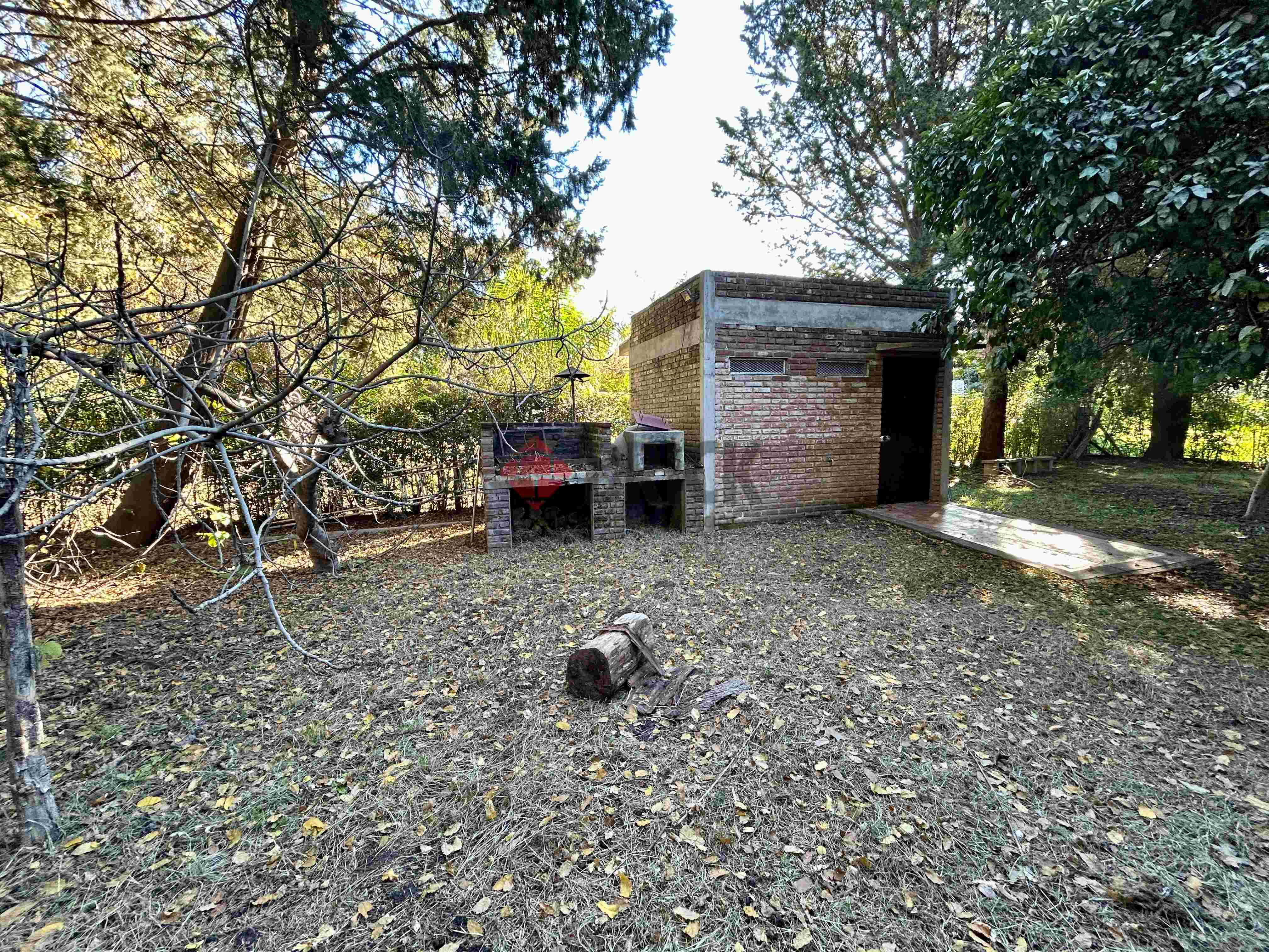 LA GOLONDRINA Y LA PATRIA 12